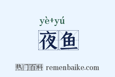 夜鱼是什么意思的图片